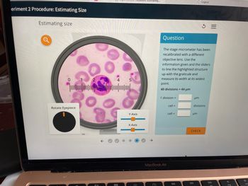 eriment 2 Procedure: Estimating Size
Estimating size
0
Rotate Eyepiece
2
on
4
900
000
5
Y-Axis
X-Axis
Estimating...
2
1 division =
MacBook Air
Question
The stage micrometer has been
recalibrated with a different
objective lens. Use the
information given and the sliders
to line the highlighted structure
up with the graticule and
measure its width at its widest
point.
40 divisions = 44 μm
cell =
cell =
DA
um
um
DII
Logout
CHECK
3 =
divisions
EQ
F10
