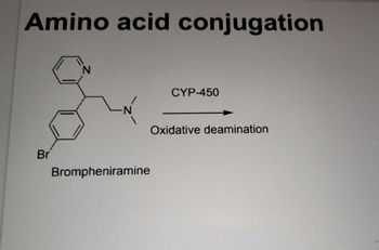 Amino acid conjugation
Br
N
CYP-450
Brompheniramine
Oxidative deamination