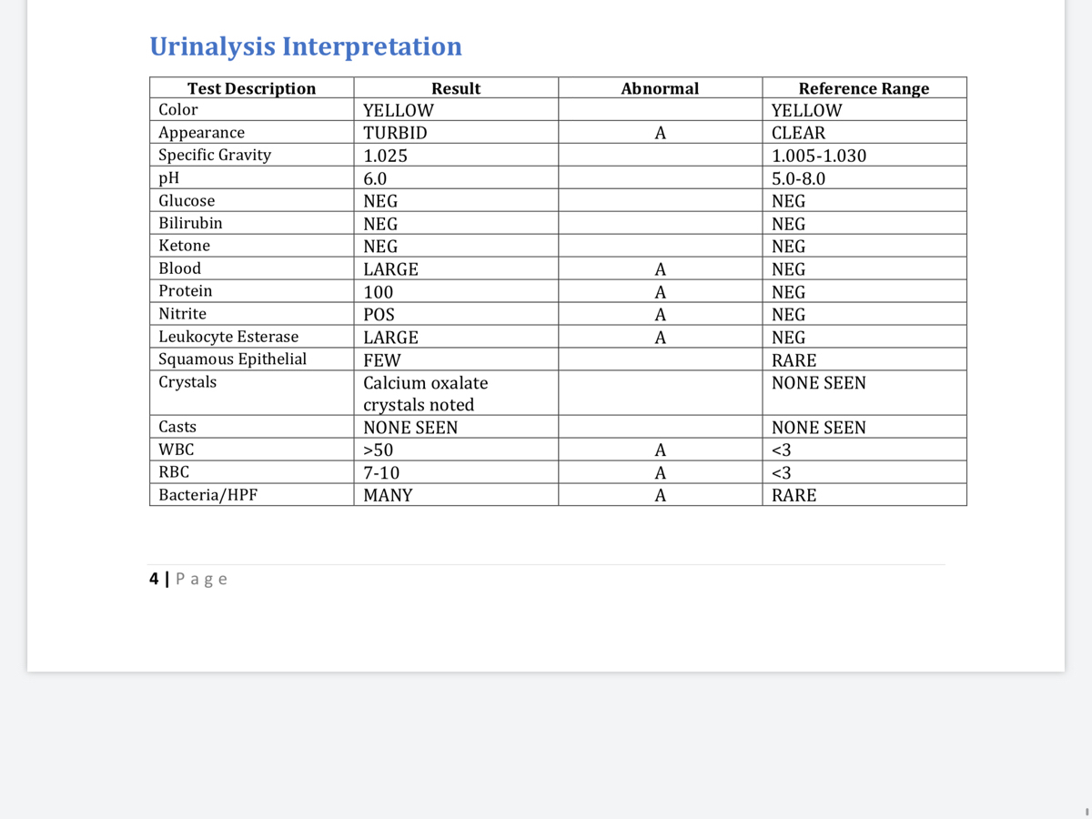 Urinalysis Interpretation