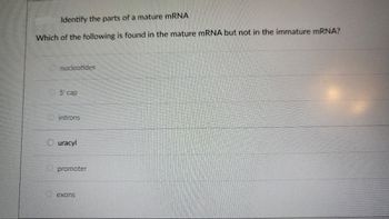 Identify the parts of a mature mRNA
Which of the following is found in the mature mRNA but not in the immature mRNA?
nucleotides
5' cap
introns
uracyl
promoter
exons