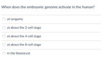 When does the embryonic genome activate in the human?
at syngamy
at about the 2-cell stage
at about the 4-cell stage
at about the 8-cell stage
in the blastocyst
