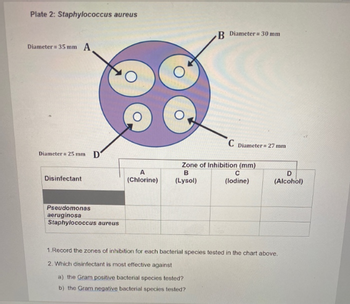 Answered: Plate 2: Staphylococcus aureus Diameter… | bartleby