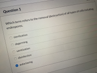 Which term refers to the removal (de
endospores.
