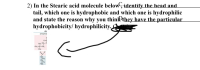 2) In the Stearic acid molecule below identify the head and
tail, which one is hydrophobic and which one is hydrophilic
and state the reason why you thinkthey have the particular
hydrophobicity/ hydrophilicity.
phonphol
