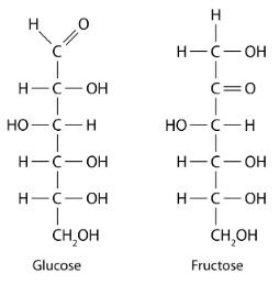 Answered: For each pair of biomolecules, identify… | bartleby