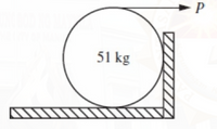 51 kg
