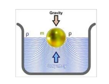 P
Gravity
Ĵ
Buoyancy
Р