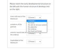 Please match the early developmental structure on
the left with the human structure it develops into
on the right:
inner cell mass of the
[ Choose ]
blastocyst
[Choose ]
the brain
the skin & nervous system
the placenta
the embryo
the heart and lungs
[ Choose ]
ectoderm of the
gastrula
anterior neural tube of
the embryo
trophoblast of the
[ Choose ]
blastocyst
>
