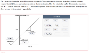 Answered: The Lineweaver-Burk plot, which… | bartleby