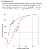 Thinking Question #2
The graph shown below represents the binding of oxygen molecules
(O2) to two different proteins, myoglobin and hemoglobin, over a
range of oxygen concentrations. Based on the graph, which pro-
tein has the higher affinity for oxygen? Explain your reasoning.
100
80
60
40
20-
20
40
60
80
Oxvaen concentration
% of protein bound to O2
Myoglobín
Hemoglobin
