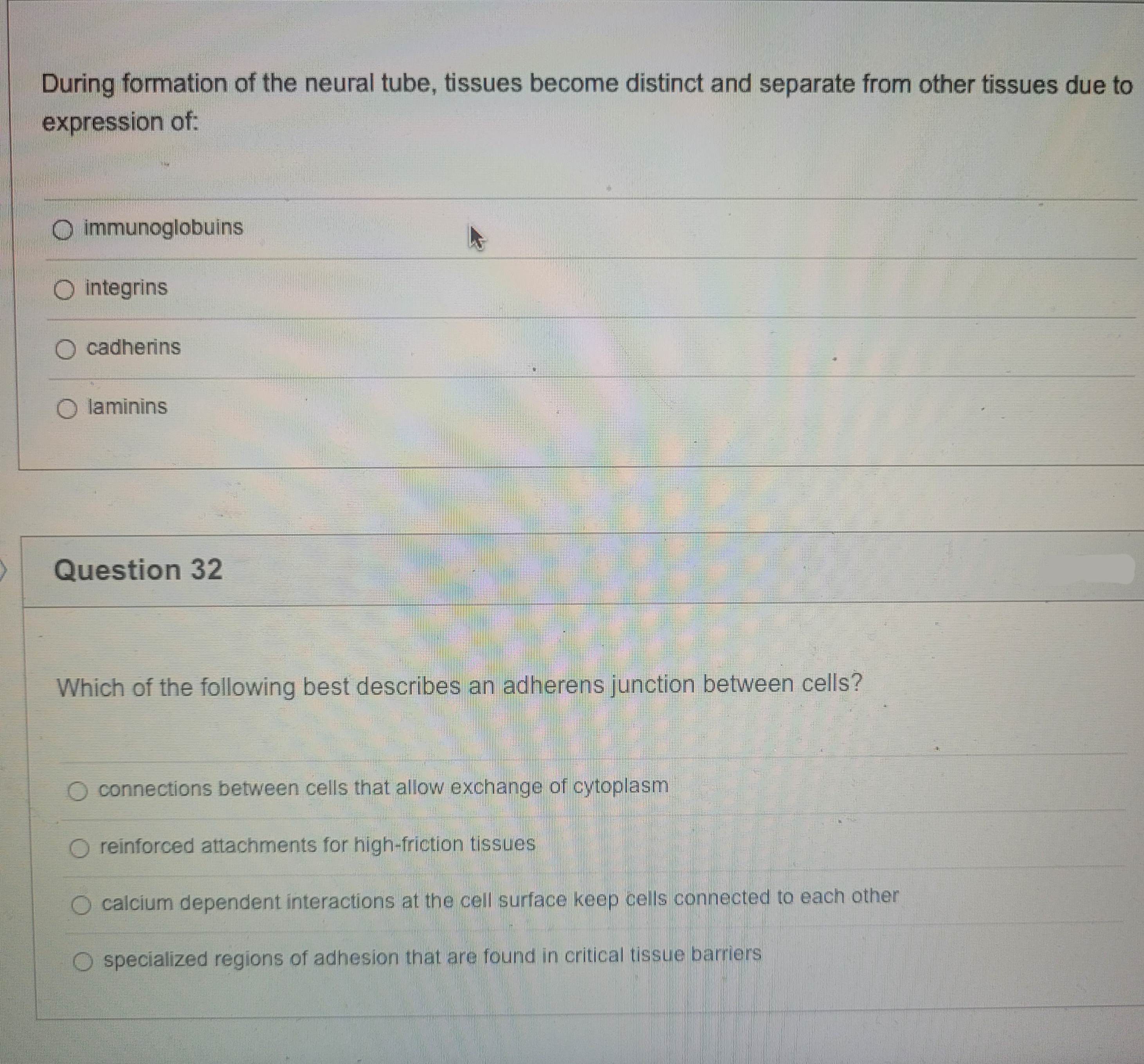 During formation of the neural tube, tissues become distinct and separate from other tissues due to
expression of:
O immunoglobuins
O integrins
O cadherins
Olaminins
Question 32
Which of the following best describes an adherens junction between cells?
O connections between cells that allow exchange of cytoplasm
reinforced attachments for high-friction tissues
calcium dependent interactions at the cell surface keep cells connected to each other
specialized regions of adhesion that are found in critical tissue barriers