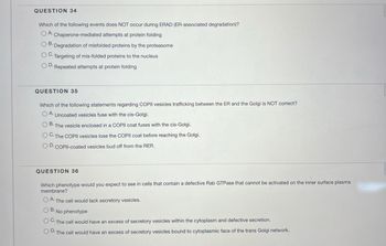 QUESTION 34
Which of the following events does NOT occur during ERAD (ER-associated degradation)?
OA. Chaperone-mediated attempts at protein folding
OB. Degradation of misfolded proteins by the proteasome
OC. Targeting of mis-folded proteins to the nucleus
OD. Repeated attempts at protein folding
QUESTION 35
Which of the following statements regarding COPII vesicles trafficking between the ER and the Golgi is NOT correct?
OA. Uncoated vesicles fuse with the cis-Golgi.
OB. The vesicle enclosed in a COPII coat fuses with the cis-Golgi.
OC. The COPII vesicles lose the COPII coat before reaching the Golgi.
OD. COPII-coated vesicles bud off from the RER.
QUESTION 36
Which phenotype would you expect to see in cells that contain a defective Rab GTPase that cannot be activated on the inner surface plasma
membrane?
OA. The cell would lack secretory vesicles.
OB. No phenotype
OC. The cell would have an excess of secretory vesicles within the cytoplasm and defective secretion.
OD. The cell would have an excess of secretory vesicles bound to cytoplasmic face of the trans Golgi network.