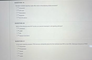 QUESTION 19
Receptor-mediated signaling might affect which of the following cellular processes?
OA. Cell growth
OB. Cell cycle
OC. Transcription
OD. Apoptosis
O E. All of the above
QUESTION 20
Which of the following does NOT function as a second messenger in cell signaling pathways?
OA cholesterol
OB. CAMP
O C. IP3
O D. Calcium ions (Ca2+)
QUESTION 21
In the insulin-signaling cascade, PTEN removes a phosphate group from the membrane lipid PIP3 to form PIP2. What type of enzyme is PTEN?
OA. Polymerase
OB. Phosphatase
OC. Kinase
OD. Lipase
O E. Ligase