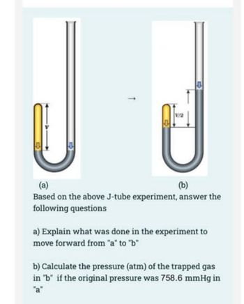 j tube experiment biology spm