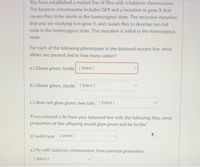 You ave established a mutant line of flies with a balancer chromosome.
The balancer chromosome includes GFP and a mutation in gene X that
causes flies to be sterile in the homozygous state. The recessive mutation
that you are studying is in gene Y, and causes flies to develop two tail
ends in the homozygous state. This mutation is lethal in the homozygous
state.
For each of the following phenotypes in the balanced mutant line, what
alleles are present and in how many copies?
a.) Glows green, fertile (Select]
b.) Glows green, sterile [Select)
c.) does not glow green, two tails (Select]
If you crossed a fly from your balanced line with the following flies, what
proportion of the offspring would glow green and be fertile?
d.) wild-type [Select )
e.) fly with balancer chromosome from parental generation
[ Select ]
