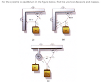 For the systems in equilibrium in the figure below, find the unknown tensions and masses.
60
60
80 N
30 N
60
(b)
60
T3
60"
(c)
