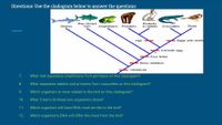 Answered: Directions: Use the cladogram below to… | bartleby