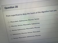 Question 20
From superficial to deep the layers of the digestive tract are:
O Muscularis, Submucosa, Mucosa, Serosa
O Mucosa, Serosa, Muscularis, Submucosa
Serosa, Submucosa, Muscularis, Mucosa
Submucosa, Mucosa, Serosa, Muscularis
O Serosa, Muscularis, Submucosa, Mucosa
