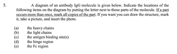 5.
A diagram of an antibody IgG molecule is given below. Indicate the locations of the
following items on the diagram by putting the letter next to those parts of the molecule. If a part
occurs more than once, mark all copies of the part. If you want you can draw the structure, mark
it, take a picture, and insert the photo.
(a)
(b)
(d)
(e)
the heavy chains
the light chains
the antigen binding site(s)
the hinge region
the Fc region