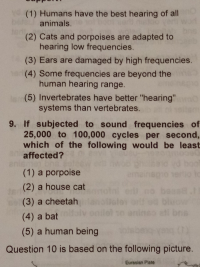 9. If subjected to sound frequencies o
25,000 to 100,000 cycles per second
which of the following would be leas-
anaffected?
(1) a porpoise
em
(2) a house cat
(3) a cheetah
bns
(4) a bat
(5) a human being
oisbe
