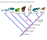 Answered: Which trait shown is shared by all of… | bartleby