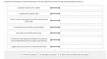 Examine the Following key words and examples on the left. Drag the choice from the right that best relates to each one.
ecosystem rebounds from wildfire
happens after a glacier melts
A farm is sold to a homeowner who does nothing with the
fallow fields
A community recovers after a natural disaster.
lava covers an are before this recovery
A construction site destroys a shrubland but houses are
never developed because the company goes bankrupt.
Loggers take down all trees in an area and then leave
[ [ [ [ [ [ ]
Primary Succession :: Secondary Succession
:: Both Primary and Secondary Succession