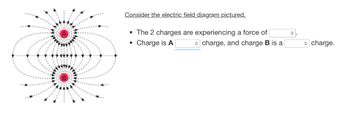 Consider the electric field diagram pictured.
• The 2 charges are experiencing a force of
• Charge is A
charge, and charge B is a
O
charge.