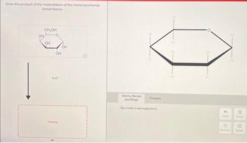 Draw the product of the mutarotation of the monosaccharide
shown below.
OH
CH₂OH
OH
OH
H₂O'
Drawing
OH
Atoms, Bonds
and Rings
Tap a node to see suggestions
Charges
Undo
Ⓡ
Remove
E
(
Done