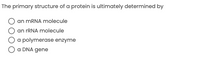 The primary structure of a protein is ultimately determined by
an MRNA molecule
an FRNA molecule
O a polymerase enzyme
O a DNA gene
