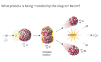 What process is being modeled by the diagram below?
ENERGY
3 n
235
92
236
92
Unstable
141
Ва
56
nucleus
