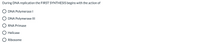 During DNA replication the FIRST SYNTHESIS begins with the action of
O DNA Polymerase I
O DNA Polymerase III
O RNA Primase
O Helicase
O Ribosome
