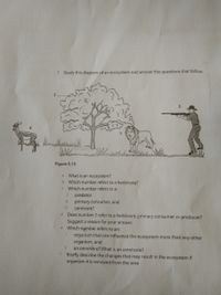 3 Study this diagram of an ecosystem and answer the questions that follow,
Figure 5.10
a What is an ecosystem?
b Which number refers to a herbivore?
Which number refers to a:
predator
primary consumer, and
carnivore?
d Does number 2 refer to a herbivore, primary consumer or producer?
Suggest a reason for your answer.
e Which number refers to an:
organism that can influence the ecosystem more than any other
organism, and
ii
an omnivore? What is an omnivore?
Briefly describe the changes that may result in the ecosystem if
organism 4 is removed from the area.
