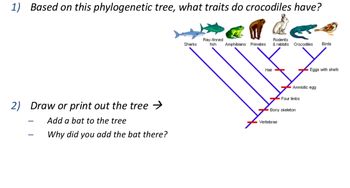 Answered: 1) Based on this phylogenetic tree,… | bartleby