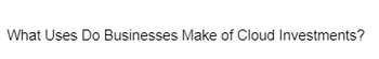 What Uses Do Businesses Make of Cloud Investments?