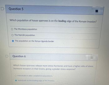 D
Question 5
Which population of house sparrows is on the leading edge of the Kenyan invasion?
O The Mombasa population
O The Nairobi population
The population on the Kenya-Uganda border
Question 6
Which house sparrows release more stress hormones and have a higher ratio of stress
hormone receptors in their brains, giving a greater stress response?
Individuals in older, established populations.
Individuals on the leading edge of the invasion.