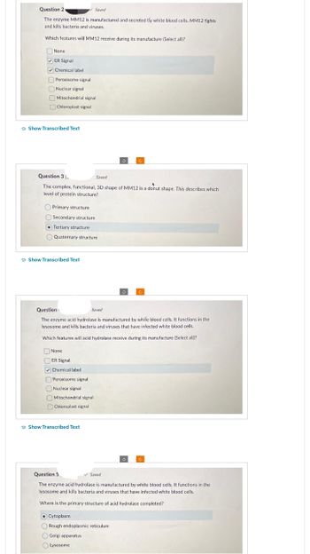 Question 2
The enzyme MM12 is manufactured and secreted bly white blood cells. MM12 fights
and kills bacteria and viruses.
Which features will MM12 receive during its manufacture (Select all)?
None
✔ER Signal
Chemical label
Peroxisome signal
Nuclear signal
Mitochondrial signal
Chloroplast signal
Show Transcribed Text
Primary structure
Secondary structure.
Tertiary structure
Quaternary structure.
Show Transcribed Text
Saved
Question 3 (.
Saved
*
The complex, functional, 3D shape of MM12 is a donut shape. This describes which
level of protein structure?
None
ER Signal
Chemical label
Peroxisome signal
Nuclear signal
Mitochondrial signal
Chloroplast signal
Show Transcribed Text
3
Question.
Saved
The enzyme acid hydrolase is manufactured by while blood cells. It functions in the
lysosome and kills bacteria and viruses that have infected white blood cells.
Which features will acid hydrolase receive during its manufacture (Select all)?
3
Rough endoplasmic reticulum
Golgi apparatus
Lysosome
c
3
c
Question 5
✔ Saved
The enzyme acid hydrolase is manufactured by white blood cells. It functions in the
lysosome and kills bacteria and viruses that have infected white blood cells.
Where is the primary structure of acid hydrolase completed?
OCytoplasm