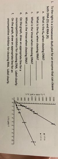 1/V (uM x min-1)-1
1. To the right is a Lineweaver-Burk plot for an enzyme that can cleave
both DNA (D) and RNA (R).
2200
2000
1800
a. What is the KM when cleaving DNA?
I 1/V R
1600
• 1/V D
b. What is the KM when cleaving RNA?
1400
1200
C. What is the Vmax when cleaving DNA?
Z 1000
800
d. What is the Vmax when cleaving RNA?
600
e. On the graph, draw an appropriate line for a
400
noncompetitive inhibitor for cleaving DNA. Label clearly.
f. On the graph, draw an appropriate line for an
uncompetitive inhibitor for cleaving RNA. Label clearly.
200
8 10 11
1/S (µM)-1
