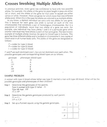 enrichment activity genetics problem solving crosses involving multiple alleles