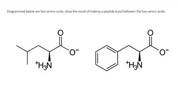 Diagrammed below are two amino acids; draw the result of making a peptide bond between the two amino acids.
+H3N
+H3N
Ο