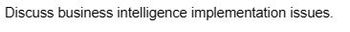 Discuss business intelligence implementation issues.