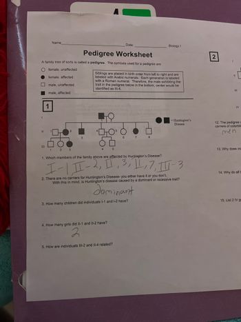 Name
III
Pedigree Worksheet
A family tree of sorts is called a pedigree. The symbols used for a pedigree are:
O female, unaffected
female, affected
male, unaffected
male, affected
Siblings are placed in birth order from left to right and are
labeled with Arabic numerals. Each generation is labeled
with a Roman numeral. Therefore, the male exhibiting the
trait in the pedigree below in the bottom, center would be
identified as III-4.
¹0¹
4
O
Date:
5
4. How many girls did II-1 and II-2 have?
2
Biology I
1. Which members of the family above are afflected by Huntington's Disease?
I-| II-2, II, 3, 11, 7, 11-3
5. How are individuals III-2 and II-4 related?
- Huntington's
Disease
2. There are no carriers for Huntington's Disease- you either have it or you don't.
With this in mind, is Huntington's disease caused by a dominant or recessive trait?
dominant
3. How many children did individuals l-1 and 1-2 have?
2
11
111
IV
12. The pedigree a
carriers of colorblim
men
13. Why does inc
14. Why do all t
15. List 2 IV gr