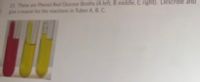 25 These are Phenol Red Glucose Broths (A left, B middle, C right). Describe and
give a reason for the reactions in Tubes A, B, C.
