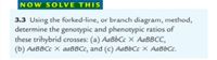 NOW SOLVE THIS
3.3 Using the forked-line, or branch diagram, method,
determine the genotypic and phenotypic ratios of
these trihybrid crosses: (a) AaBbČc X AaBBCC,
(b) AABBCC x aaBBCc, and (c) AaBbCc × AaBbCc.
