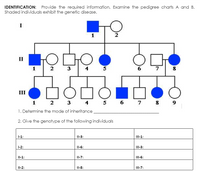 IDENTIFICATION: Provide the required information. Examine the pedigree charts A and B.
Shaded individuals exhibit the genetic disease.
I
1
2
II
1
2
3
5
6
7
8
III
1 2
3 4
5 6
7 8
9
1. Determine the mode of inheritance
2. Give the genotype of the following individuals
1-1:
Il-3:
III-1:
1-2:
Il-6:
III-3:
Il-1:
Il-7:
III-6:
II-2:
Il-8:
III-7:
