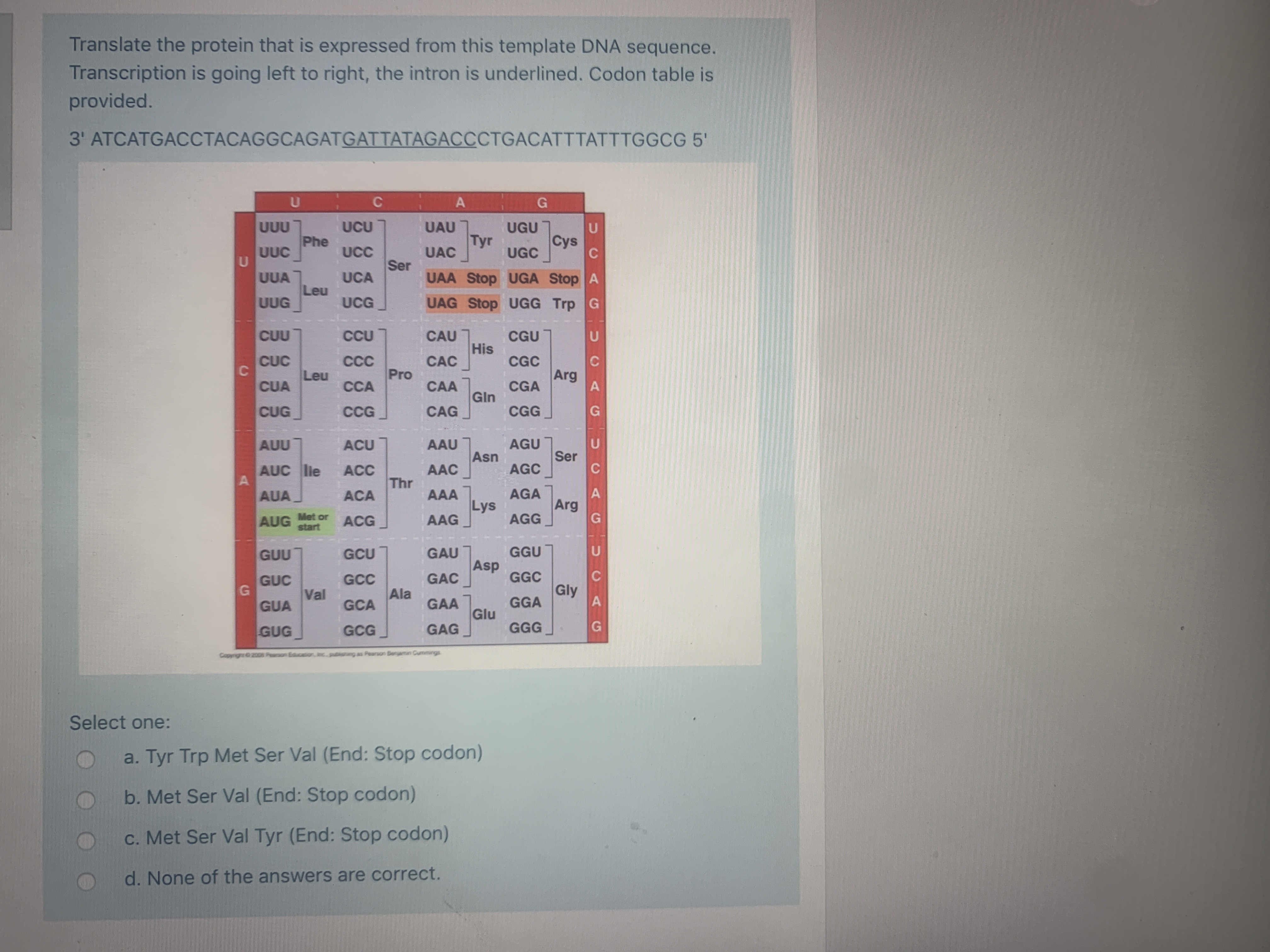 Translate the protein that is expressed from this template DNA sequence.
Transcription is going left to right, the intron is underlined. Codon table is
provided.
3' ATCATGACCTACAGGCAGATGATTATAGACCCTGACATTTATTTGGCG 5'
