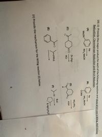 19) (1) Provide the major product for each of the following reactions and show which one is Wittig, Wolf-Kishner
Reduction, Clemmensen Reduction and Birch Reduction.
Na
(A)
Na
(B)
Me2N
NH3, MeOH
NH3 MeOH
Zn (Hg)
HCI
-PPh3
(F)
(E)
(II) Provide the mechanism for the Wittig reaction (E) below.
6
(D)
H
COME
-Br
FO
NH,NH,
KOH
BuLi
S & HgCl₂/H₂O
СЛ