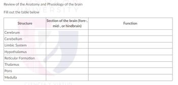 Answered: Review Of The Anatomy And Physiology Of… | Bartleby