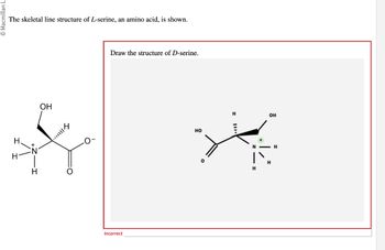 © Macmillan Le
The skeletal line structure of L-serine, an amino acid, is shown.
H
H
N
H
OH
...
Incorrect
Draw the structure of D-serine.
HO
H
OH
H