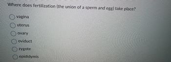 Where does fertilization (the union of a sperm and egg) take place?
vagina
uterus
ovary
oviduct
zygote
epididymis