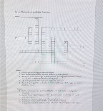 Bio 111: Photosynthesis and Cellular Respiration
Name:
4
8
9
3
3
7
4
6
Down:
1. primary light absorbing pigment in autotrophs
2. most common carbohydrate molecule produced by photosynthesis.
3. the second of two major stages in photosynthesis, involving atmospheric CO2 fixation
and reduction of the fixed carbon into carbohydrate.
4. cellular respiration that takes place where there is NO oxygen.
6. the small openings on the undersides of most leaves through which oxygen and carbon
dioxide can move
Across:
3. this flow of hydrogen ions generates 90% of the ATP made during aerobic glucose
catabolism
5. the first step of cellular respiration where glucose is broken in half and 2 ATP energy
units are released.
7. an organism that must eat plants or other animals for food.
8. an organelle inside a plant cell where photosynthesis takes place
9. an organelle inside both animal and plant cells where cellular respiration takes place.